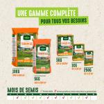 Terrain Sec - Gazon Terrain Sec - 250 g - image